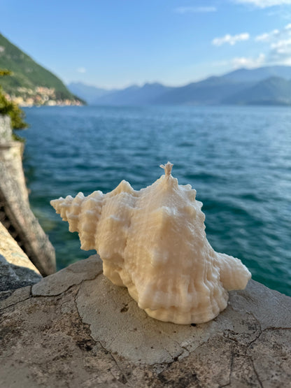 MOANA