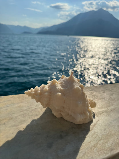 MOANA